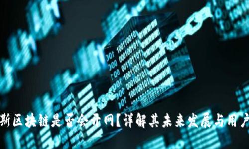 普拉斯区块链是否会开网？详解其未来发展与用户体验